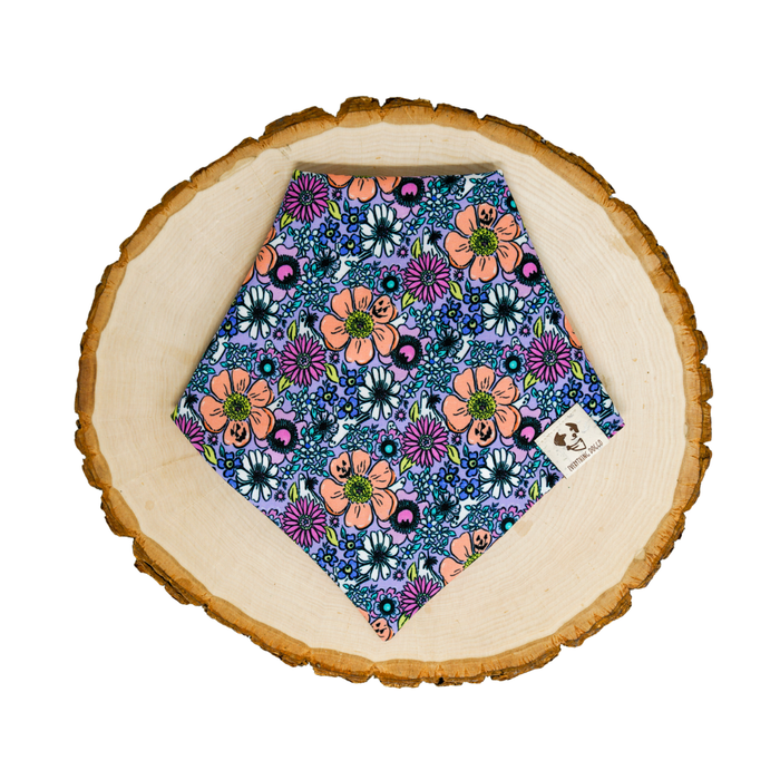 Pretty Little Pumpkins - Bandana (Reversible)