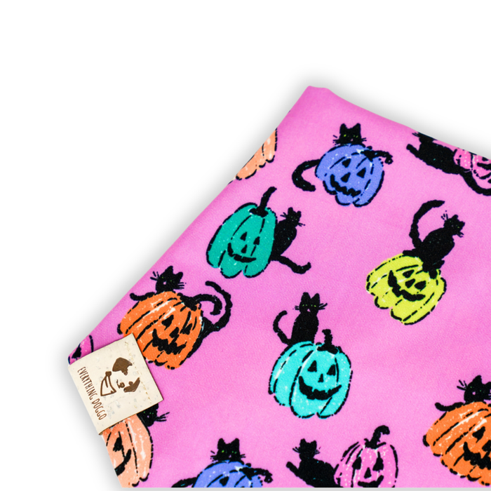 Pretty Little Pumpkins - Bandana (Reversible)