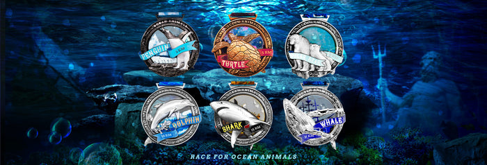 Race for Ocean Animals - Dolphin 10km