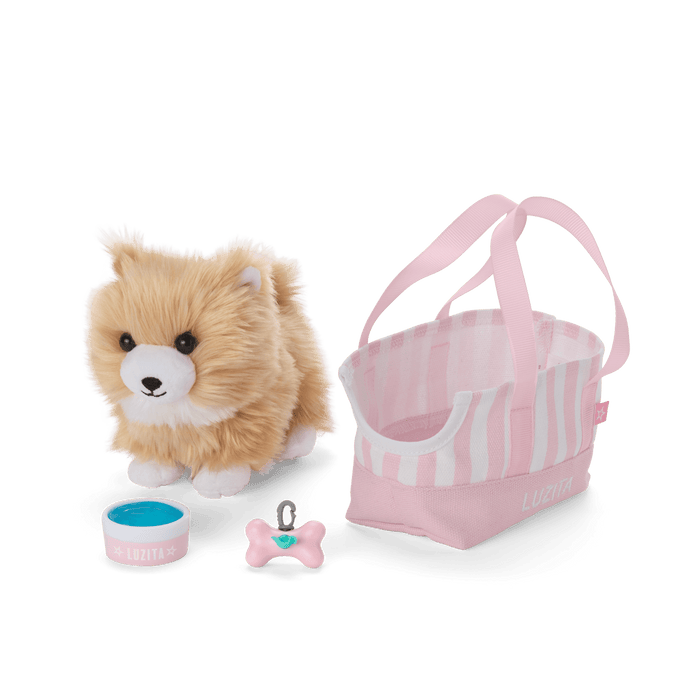 Raquel Reyes™ Gift Set (Girl of the Year™ 2026)