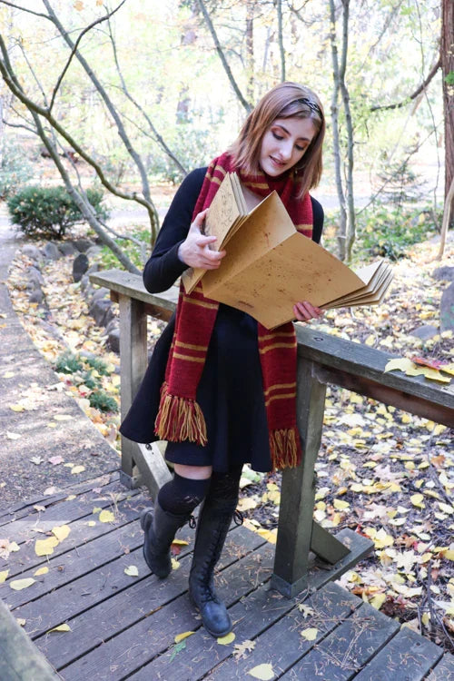 Sample Sale! — Harry Potter / Gryffindor House inspired scarf. 50% OFF!