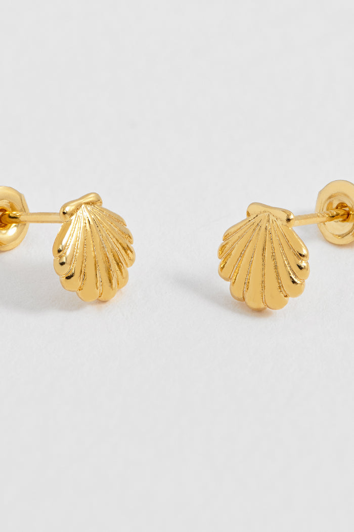 Seashell Stud Earrings