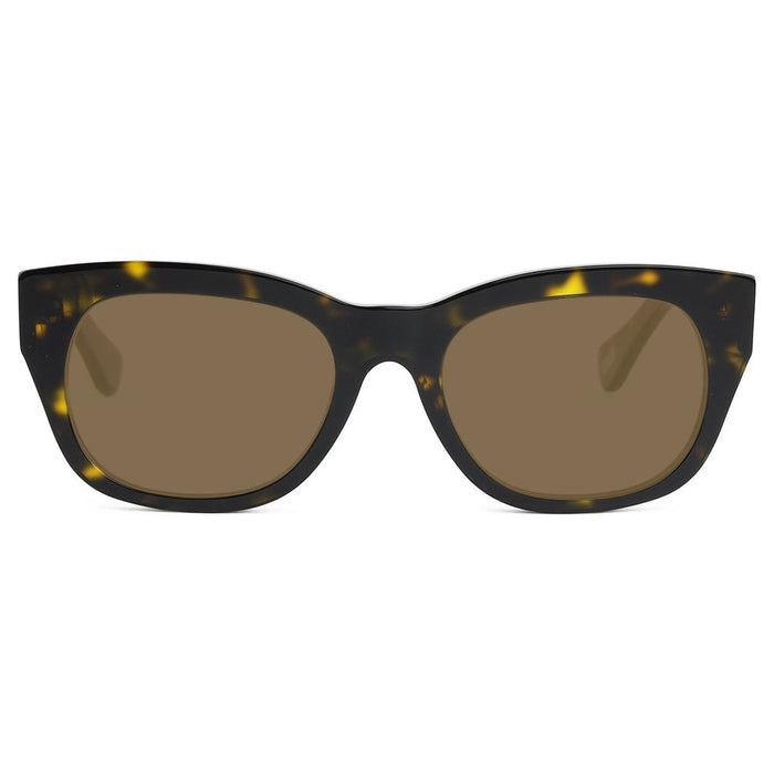 Spot Tortoise / 0 / Brown