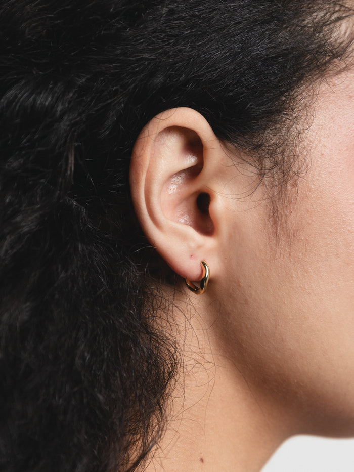 -Earrings-wolfcircus.com