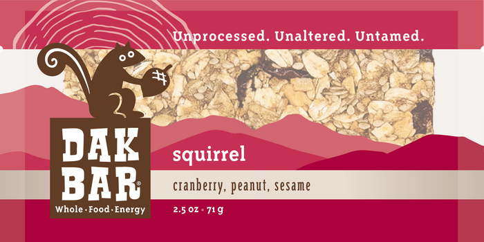 Squirrel Bar - Peanut, Cranberry & Sesame Seed Snack Bar