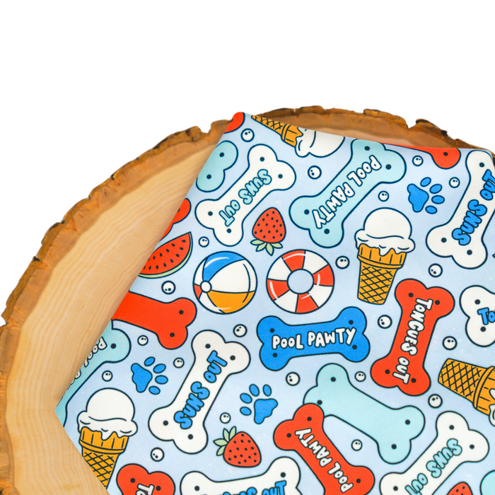 Summer Dog Treats - Bandana