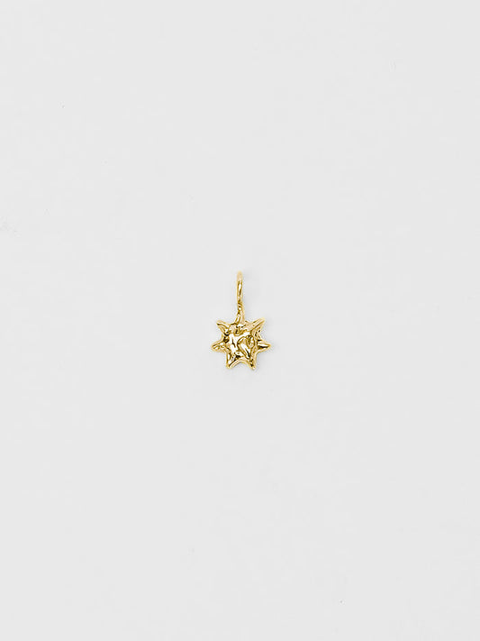 Wolf Circus Sun Charm Pendant in Gold-Charm-wolfcircus.com