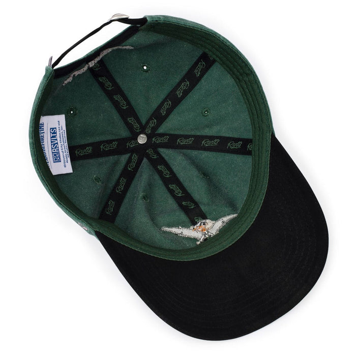 RSVLTS The Land Before Time Hat The Land Before Time "Me Can Fly!" – Dad Hat The Land Before Time "Me Can Fly!" – Dad Hat
