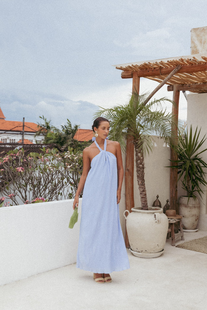 Petal and Pup USA DRESSES Theophania Maxi Dress - Pale Blue