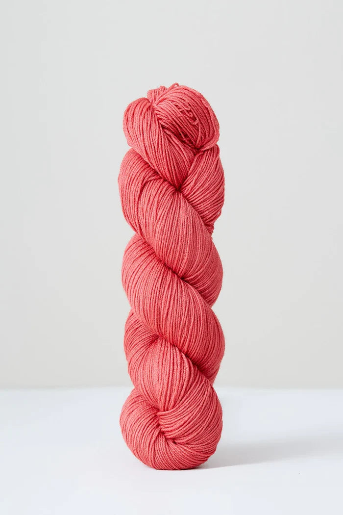 Cranberry