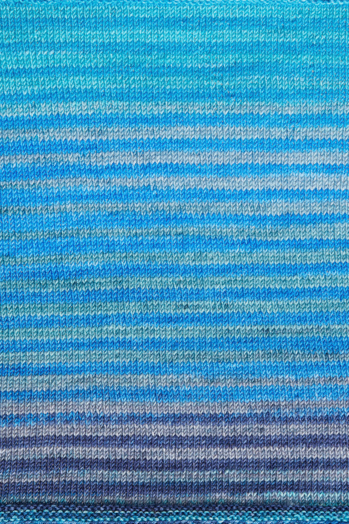 3031