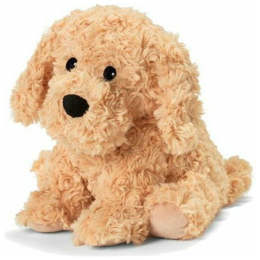 13" Warmies Golden Retriever Dog - Owl & Goose Gifts