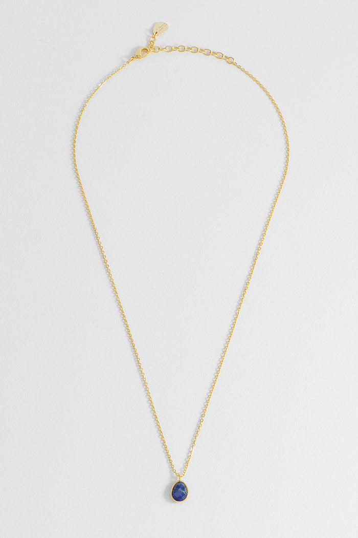 Wellness Sodalite Faceted Teardrop Gemstone Necklace