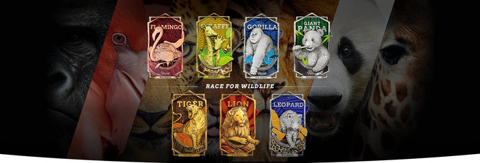 Wild Animals Virtual Race - Flamingo 3 km