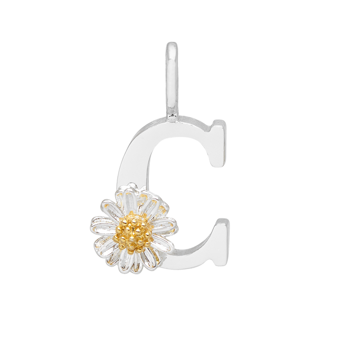 customiser-image