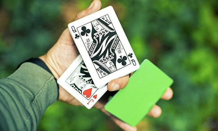 Z Deck Playing Cards by Art of Play
