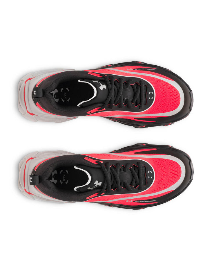 Zapatilla Running para Hombre Halo Racer Negro Under Armour