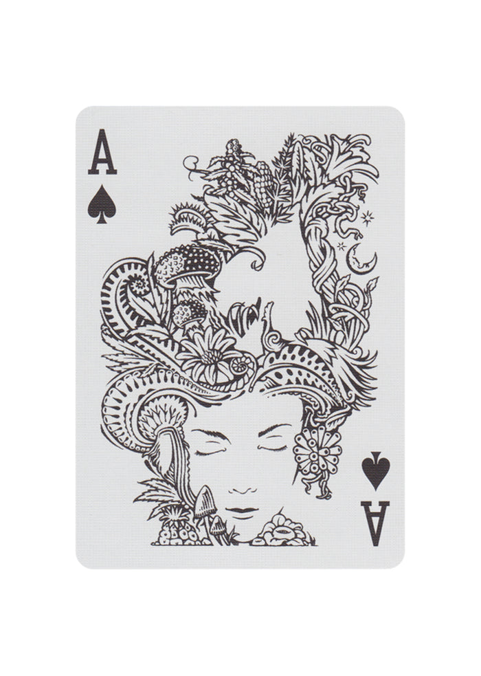 ZOMA Playing Cards* Playing Cards by Art of Play
